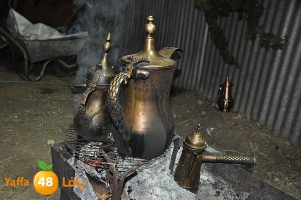 3orsborgal525 (18).JPG